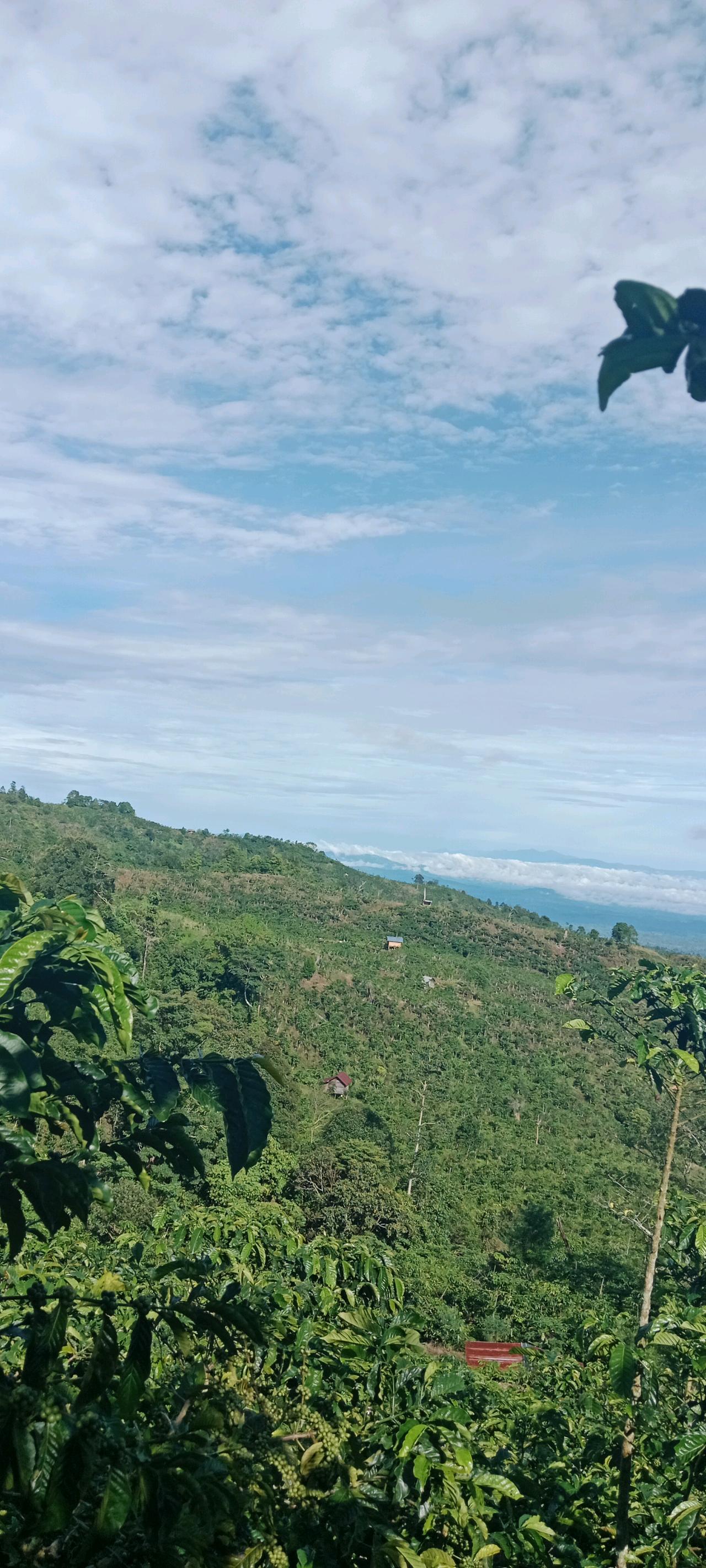 cmp_1775699233500.jpg