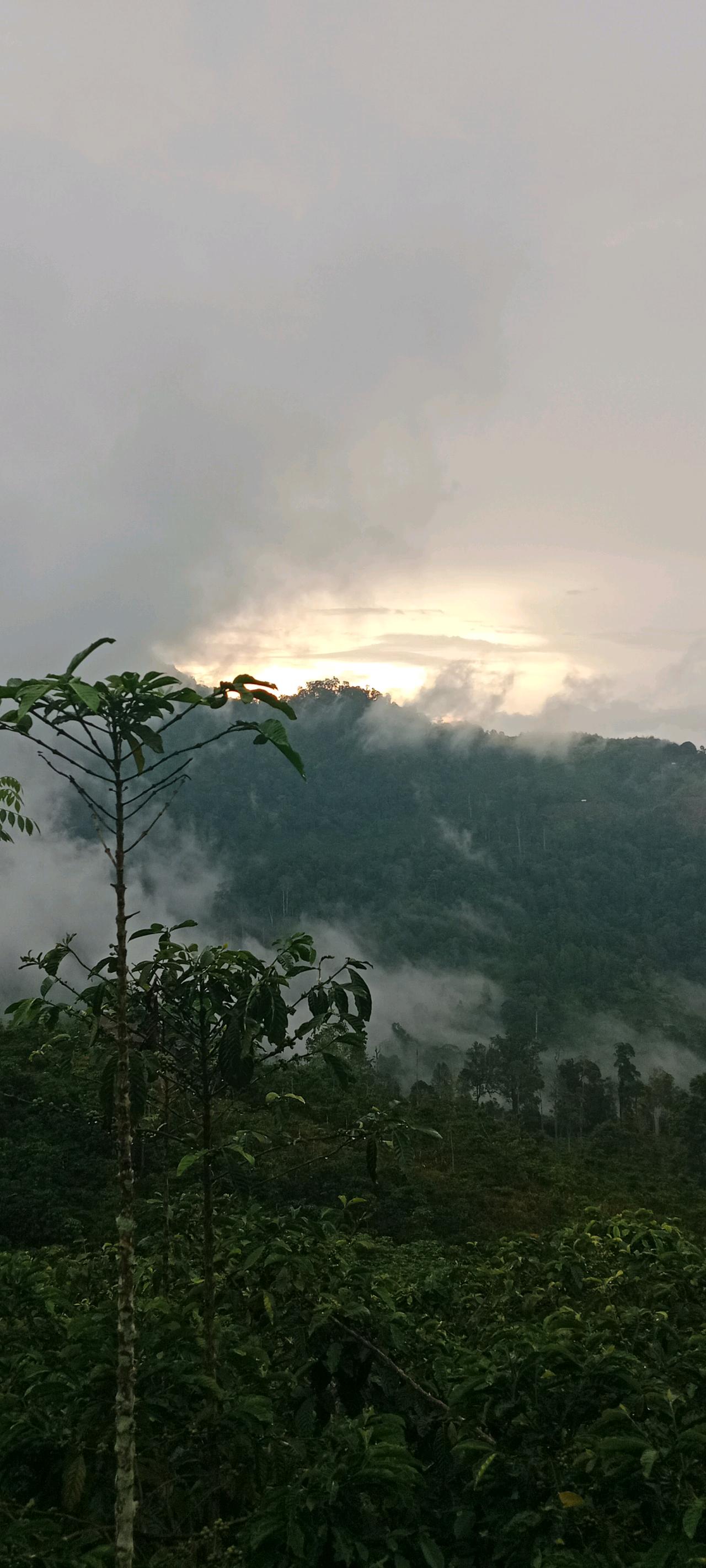 cmp_1775835360759.jpg