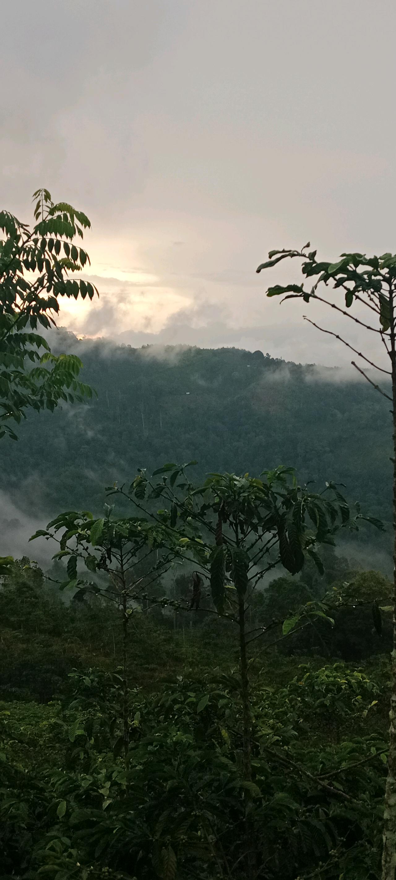 cmp_1775835365715.jpg