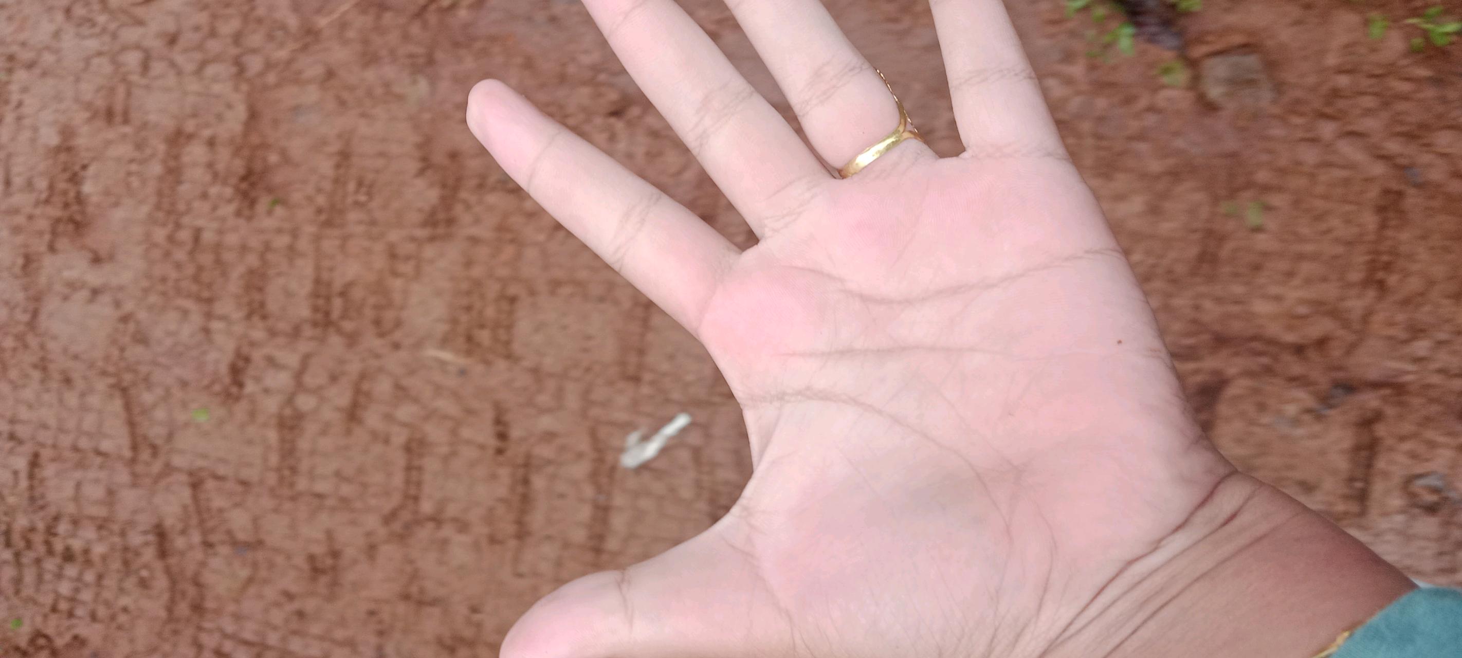cmp_1775835373241.jpg