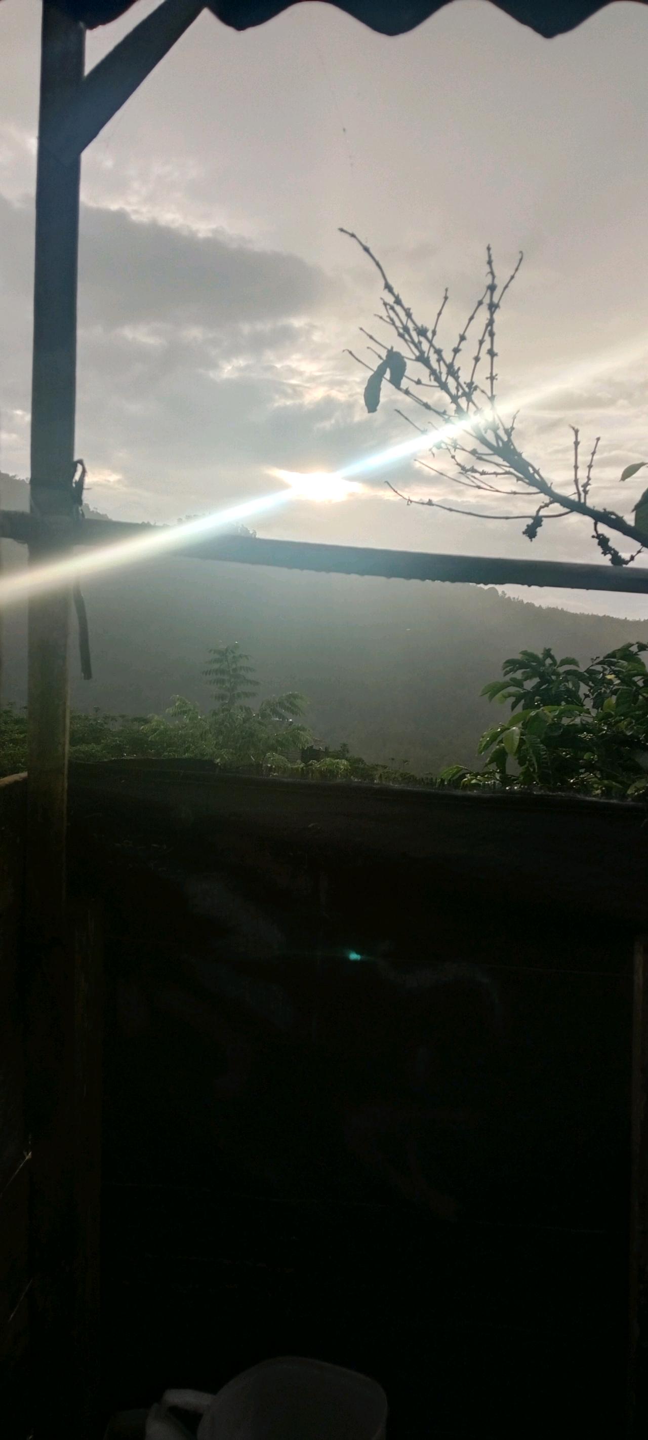 cmp_1775835389621.jpg
