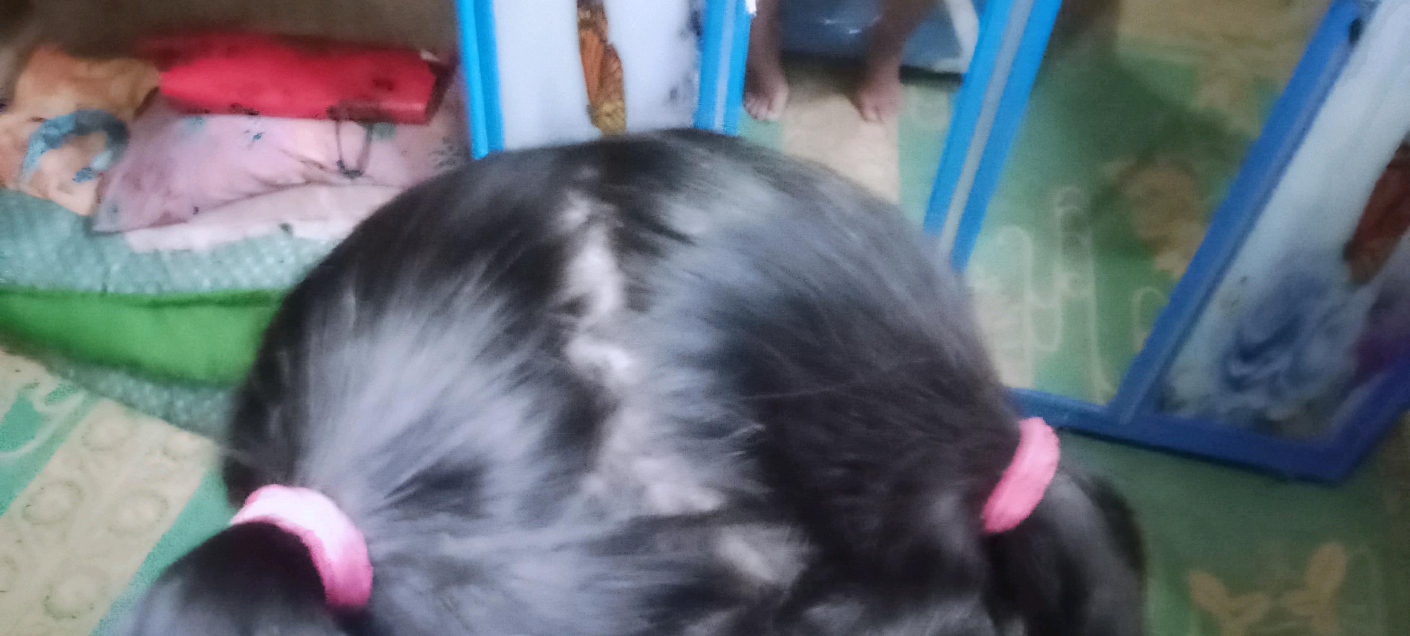cmp_1775839820947.jpg