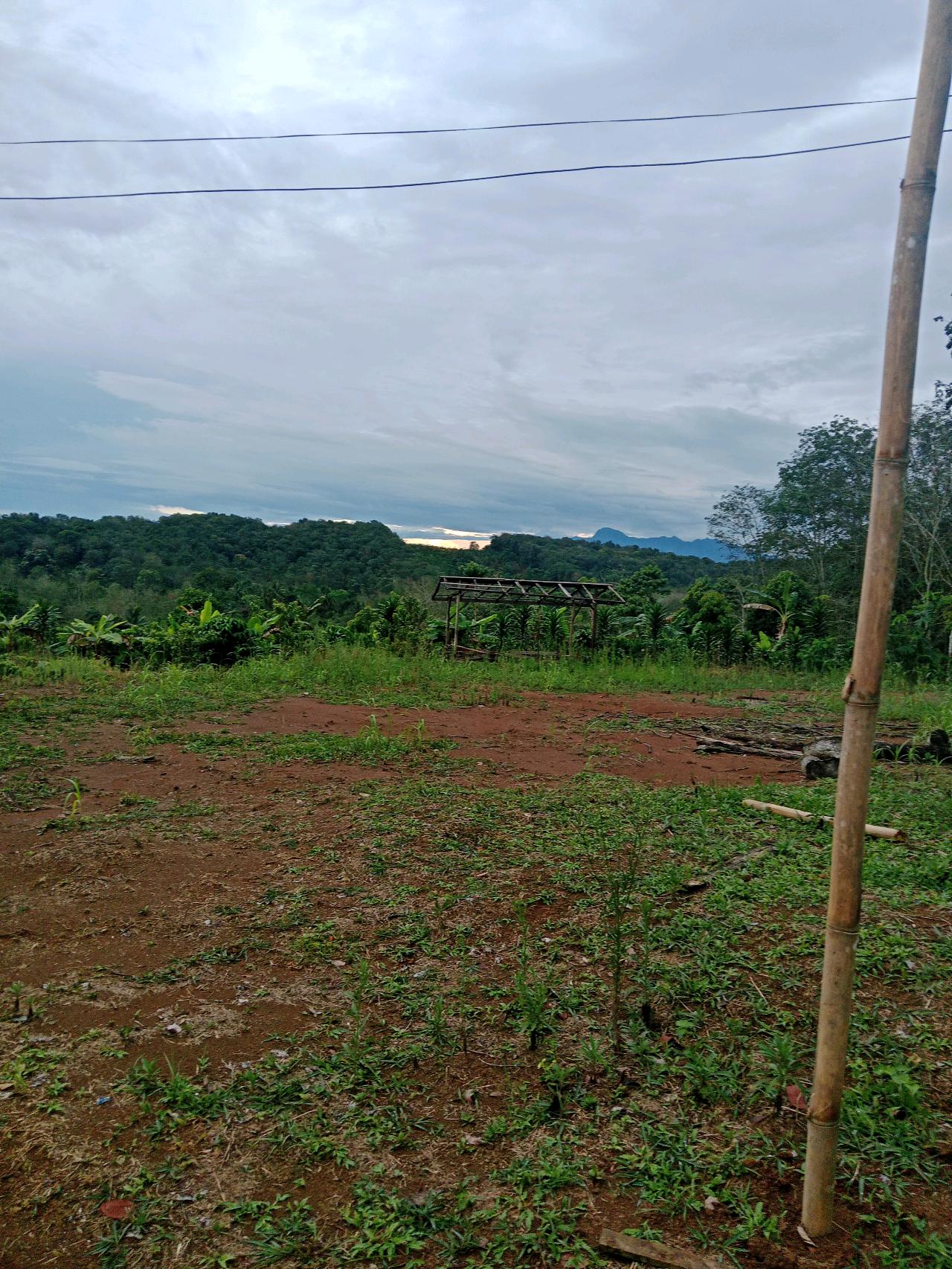 cmp_1776043790117.jpg
