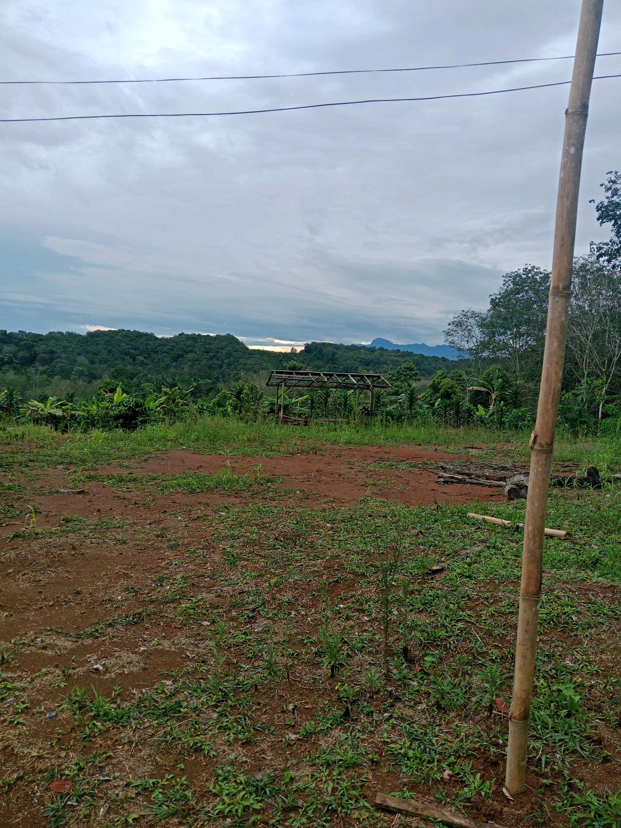 cmp_1776043793377.jpg