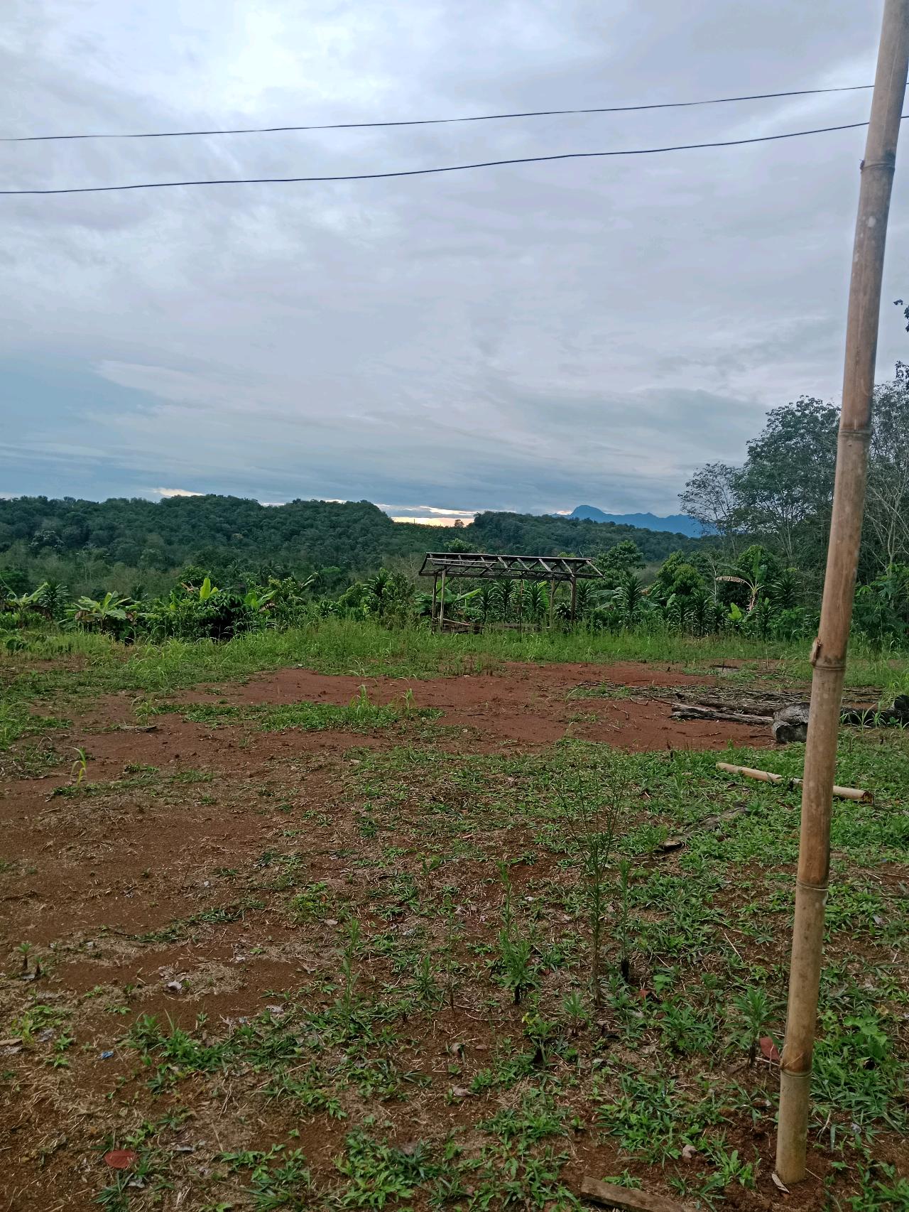 cmp_1776043796785.jpg
