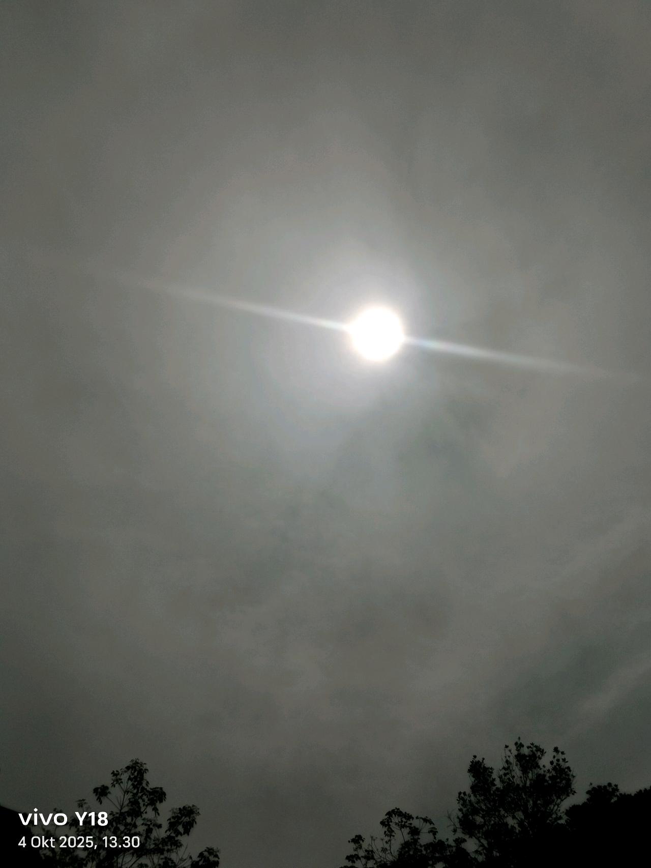 cmp_1776128814006.jpg