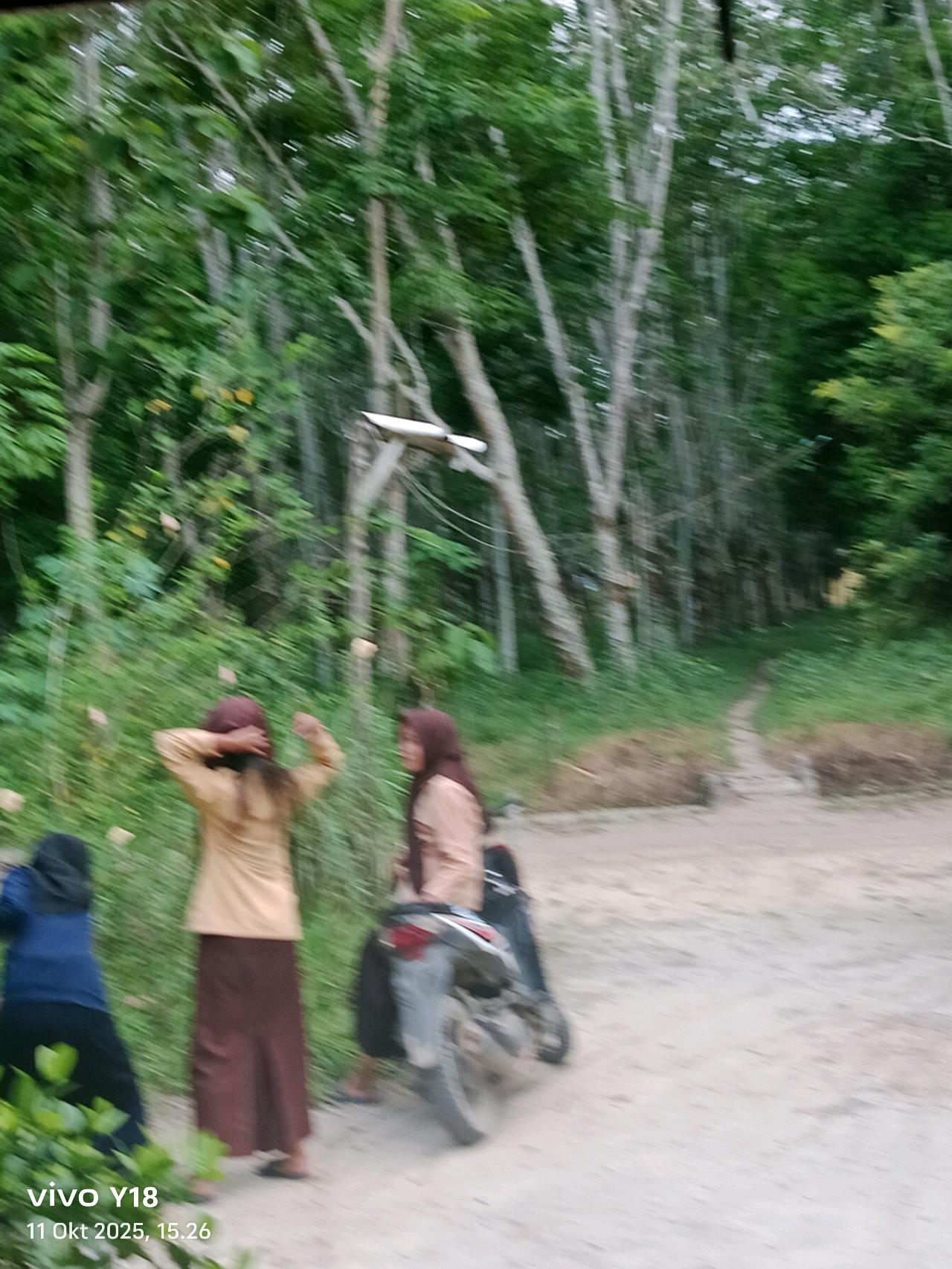 cmp_1776129909441.jpg