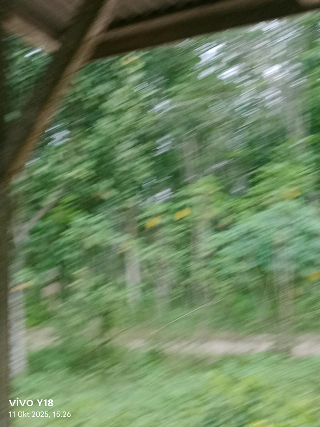 cmp_1776129912321.jpg