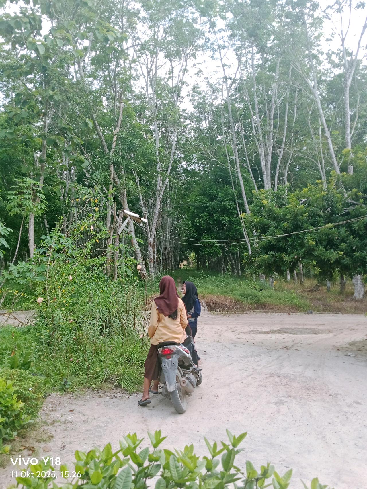 cmp_1776129920887.jpg