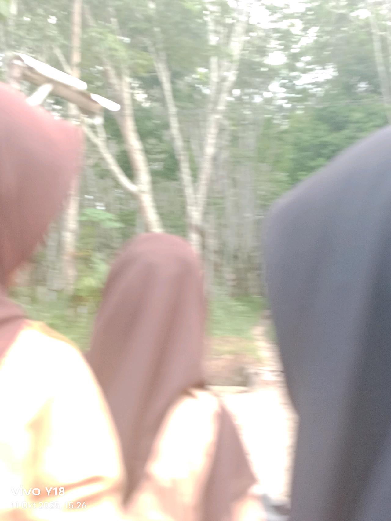 cmp_1776129924494.jpg