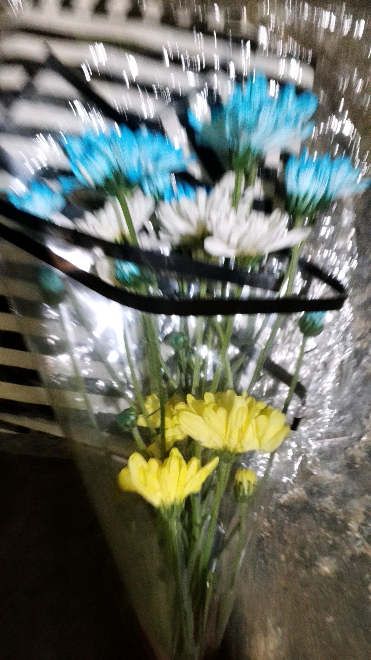 cmp_1776267820652.jpg