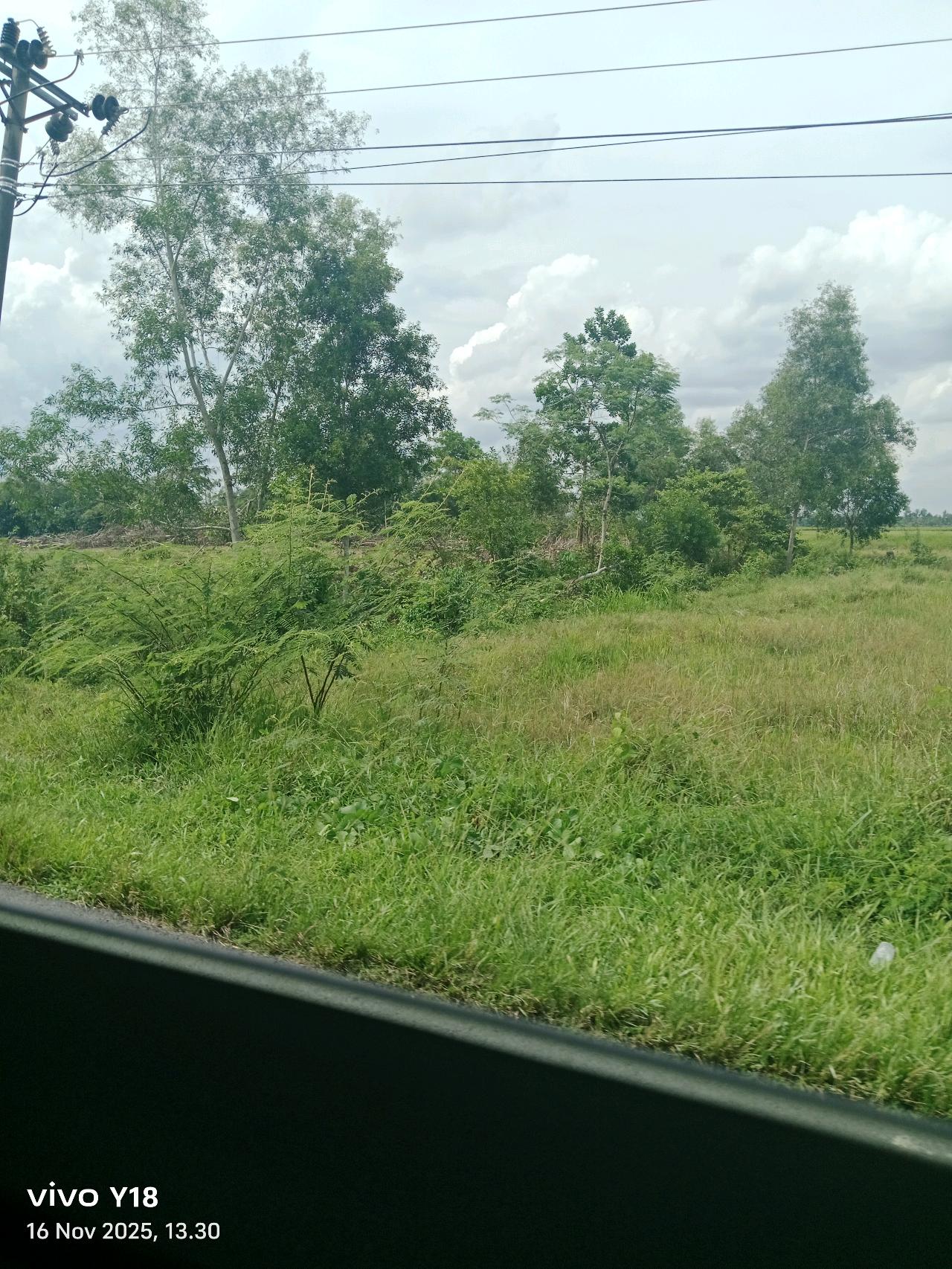 cmp_1776380536166.jpg
