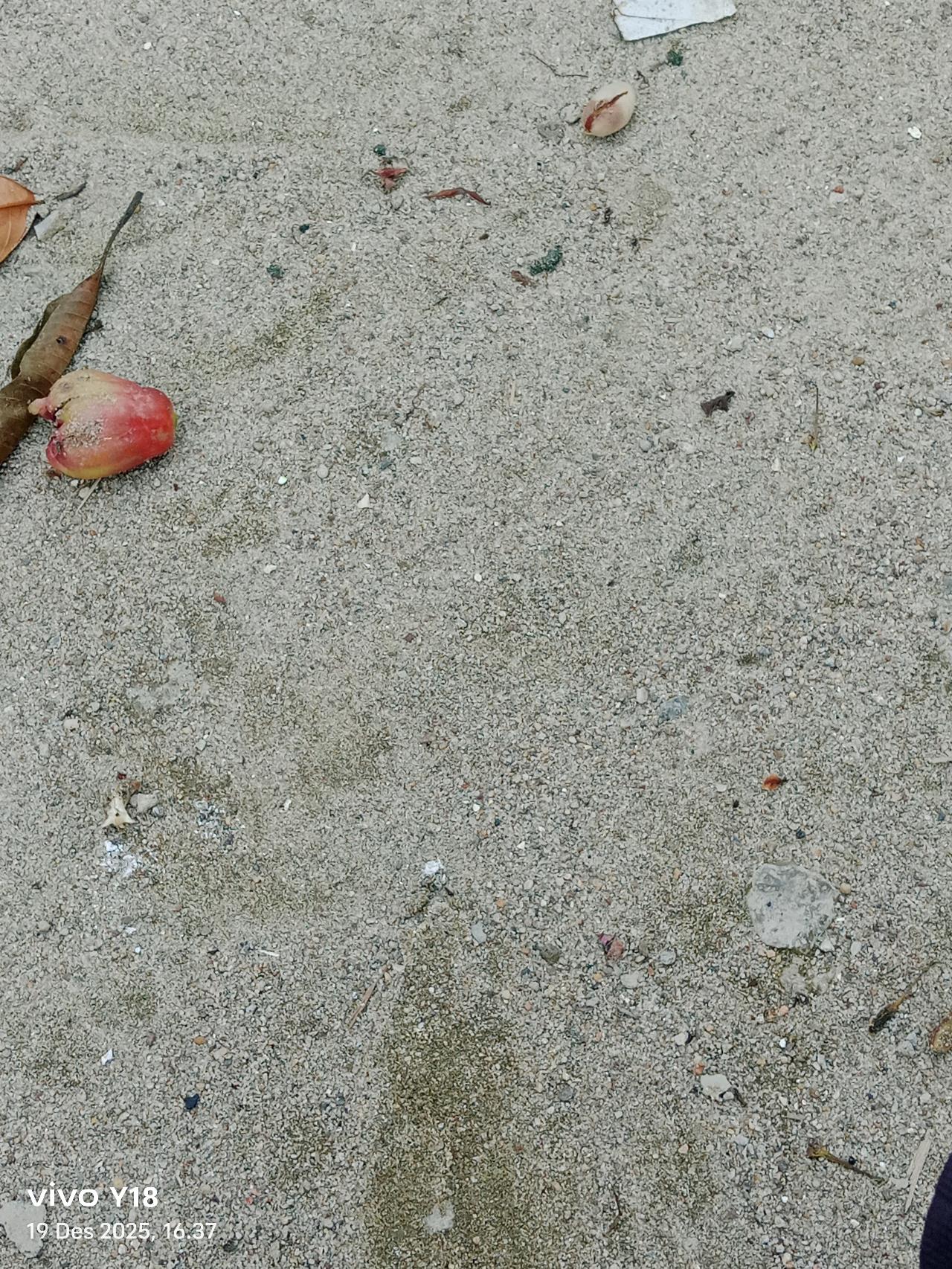 cmp_1776391845450.jpg