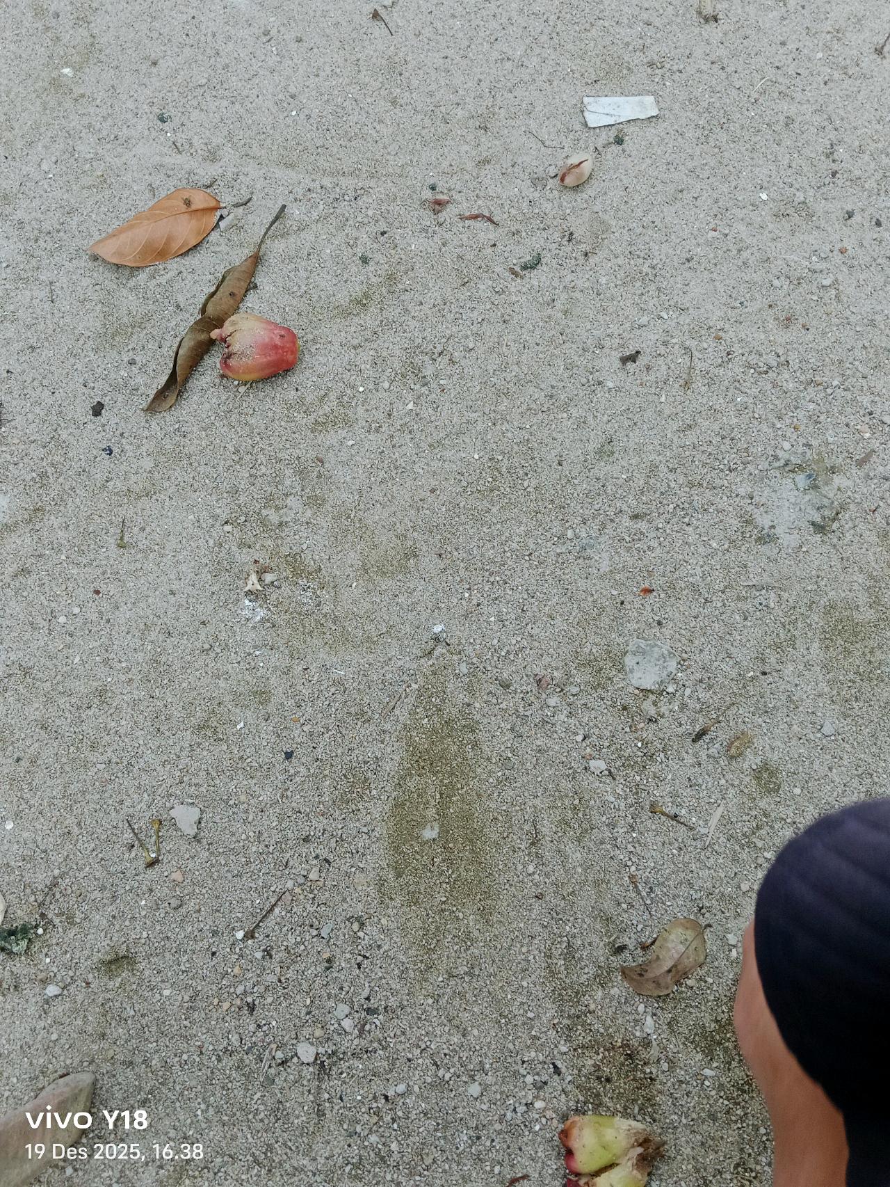 cmp_1776391849760.jpg