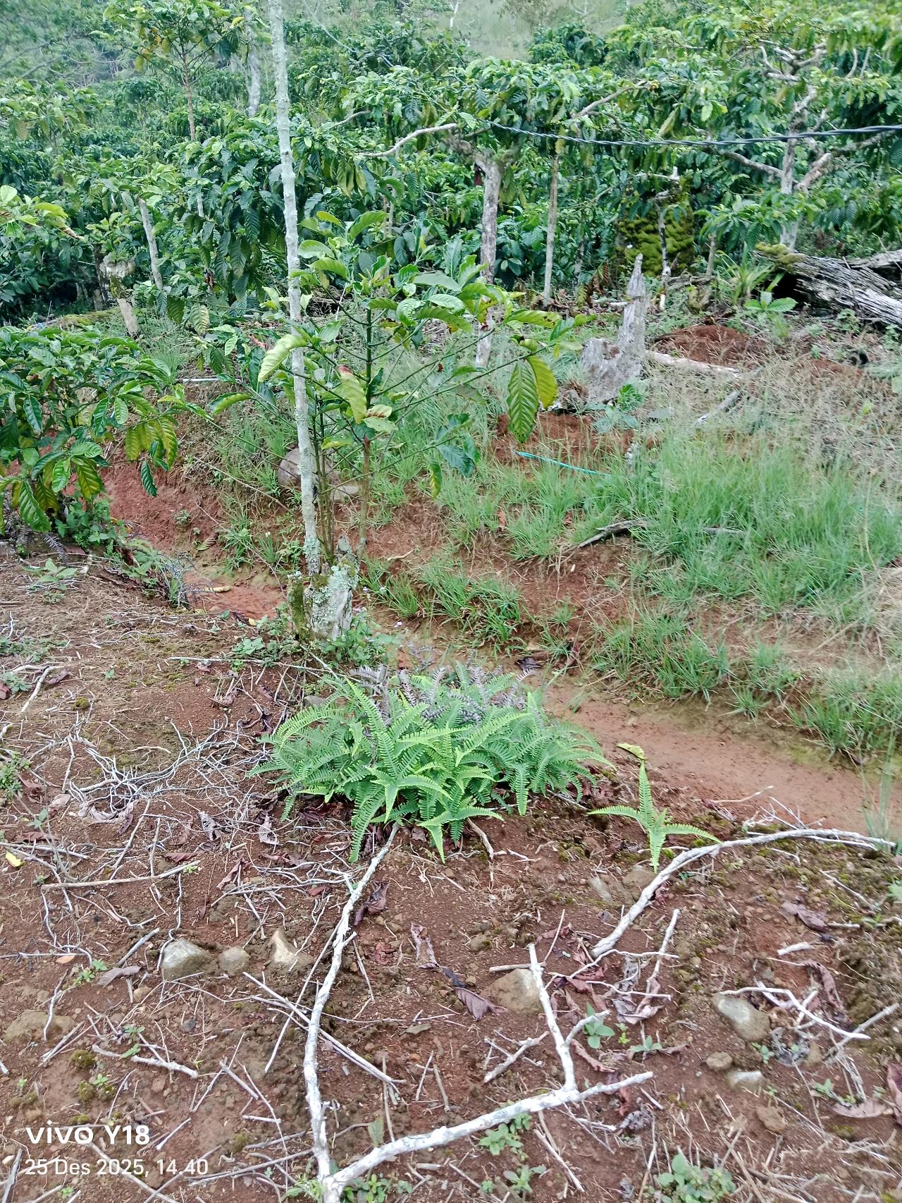 cmp_1776406572751.jpg