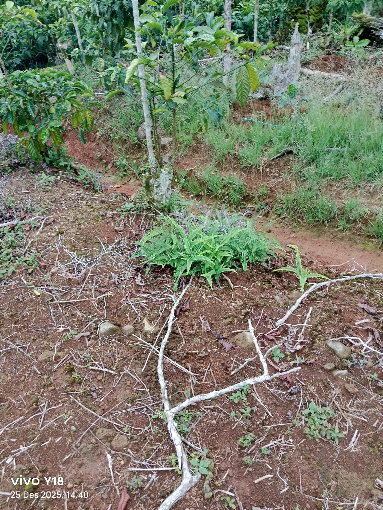 cmp_1776406579901.jpg