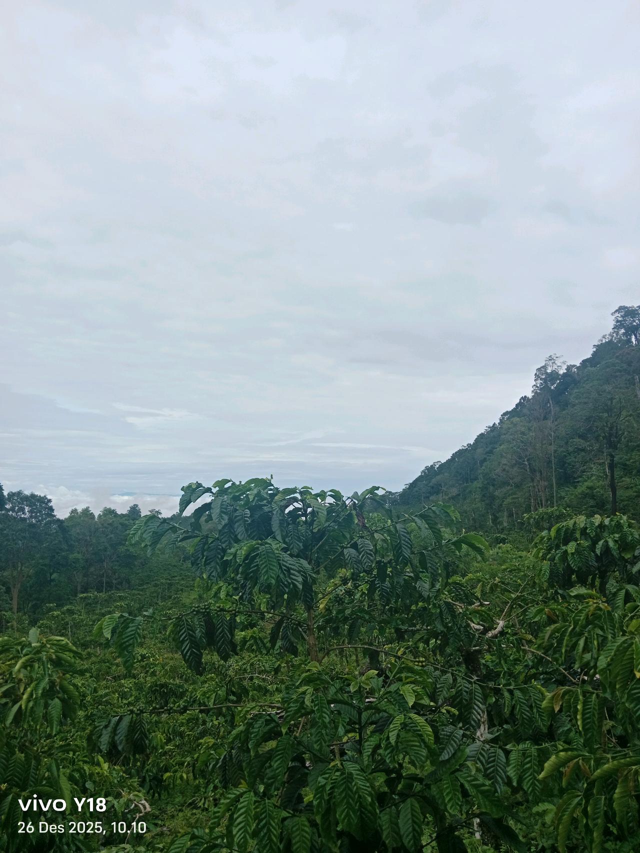 cmp_1776409567829.jpg