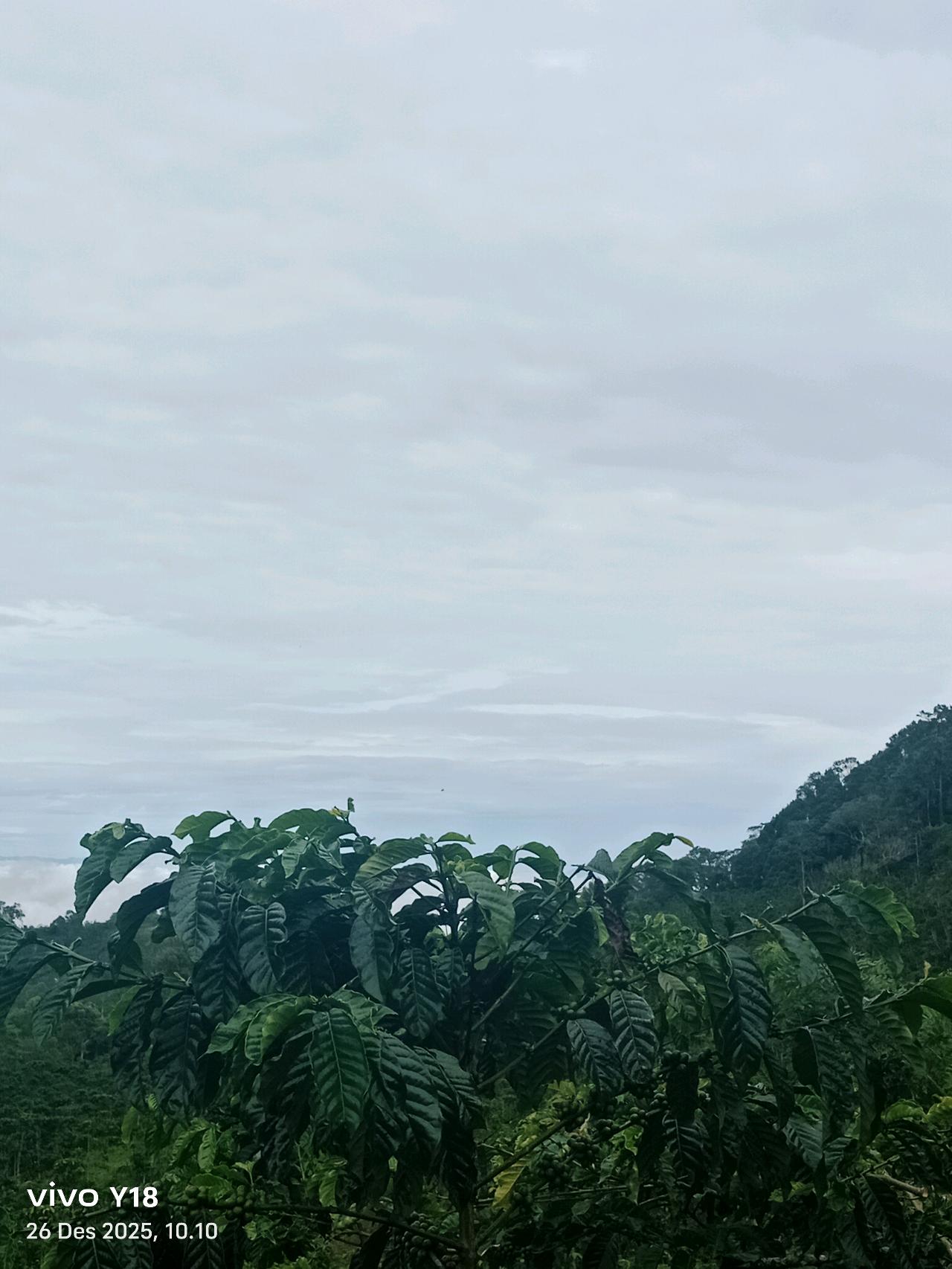 cmp_1776409573200.jpg