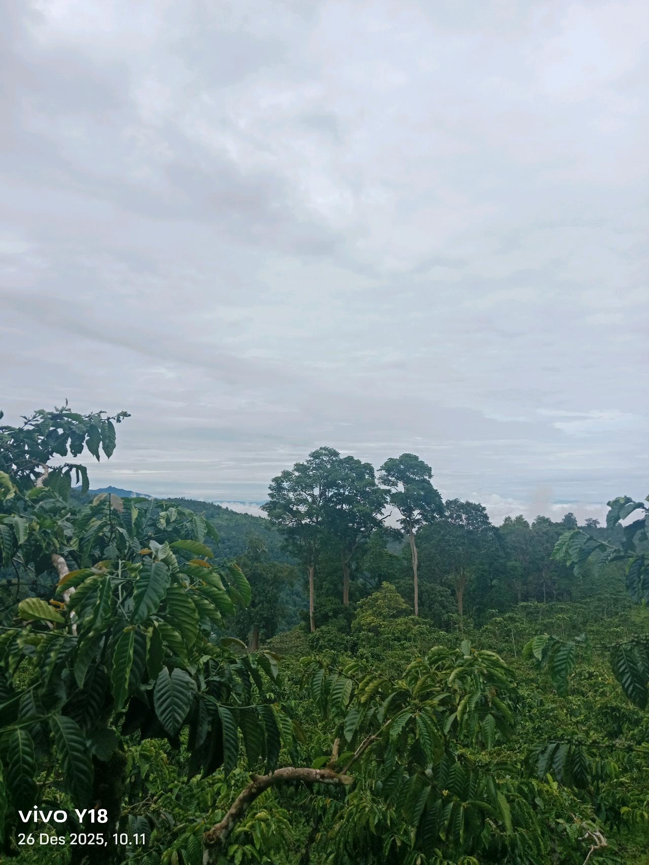 cmp_1776409579728.jpg