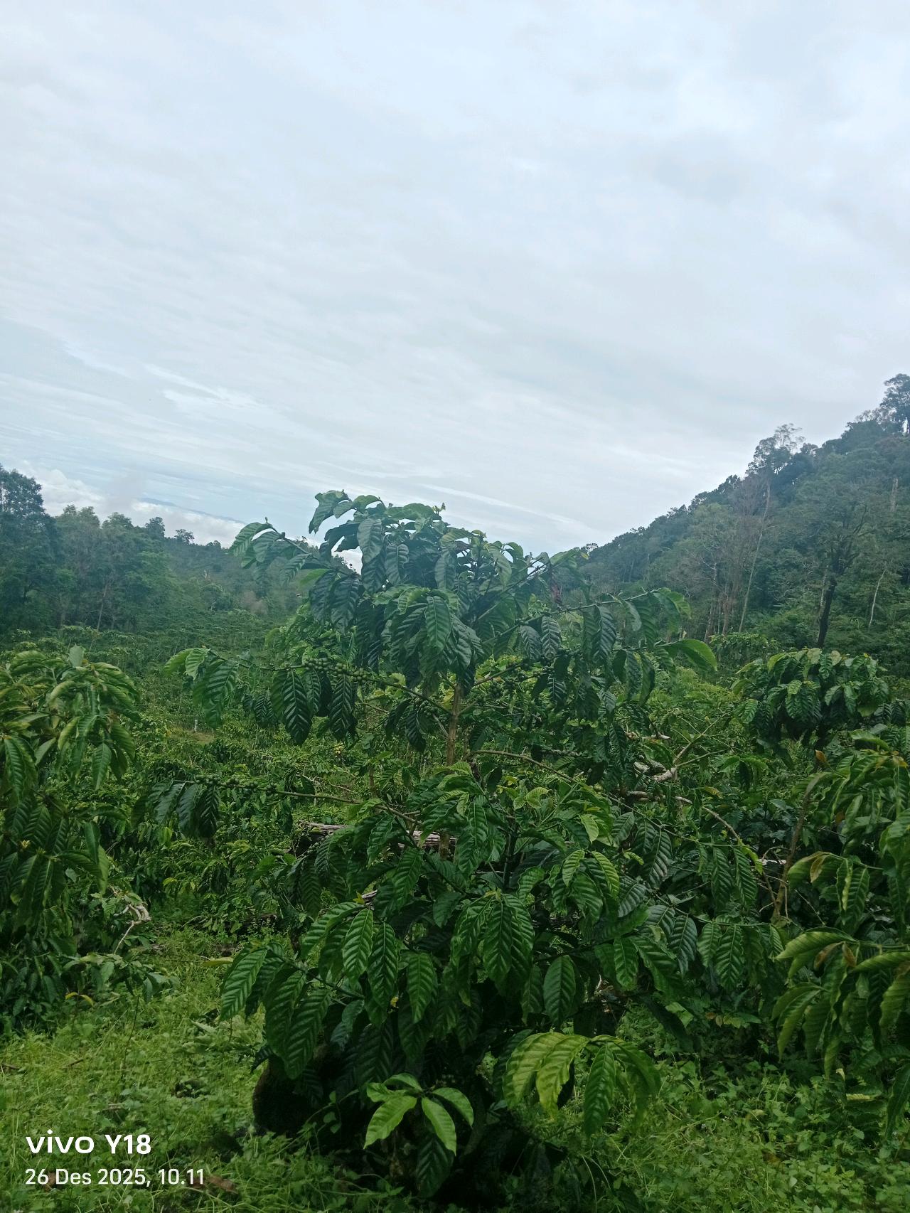 cmp_1776409583084.jpg