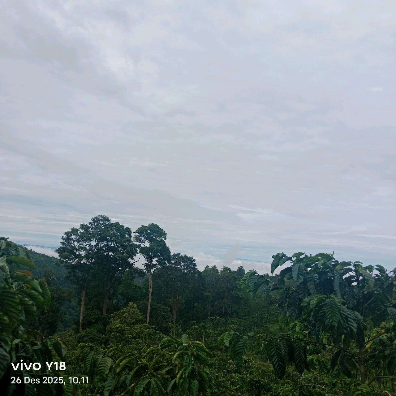 cmp_1776409587718.jpg