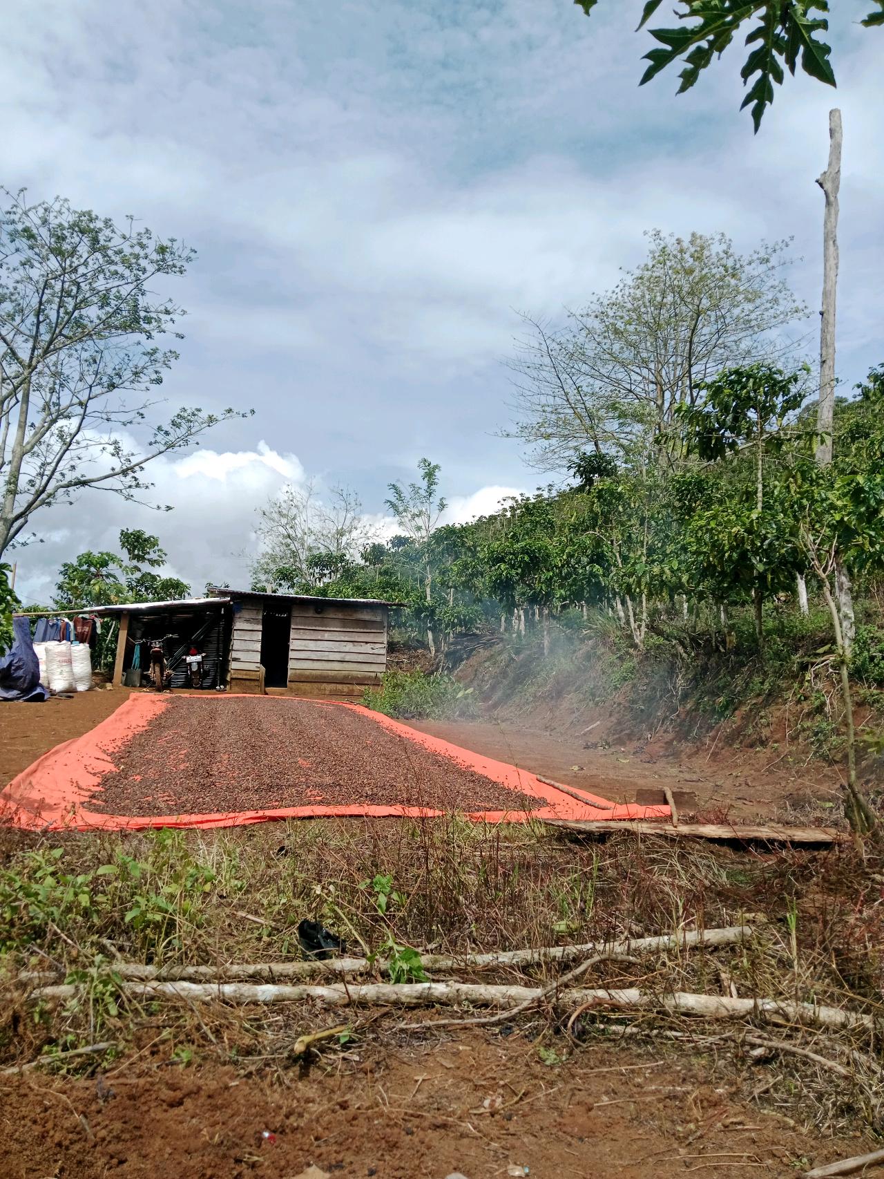 cmp_1776409767226.jpg