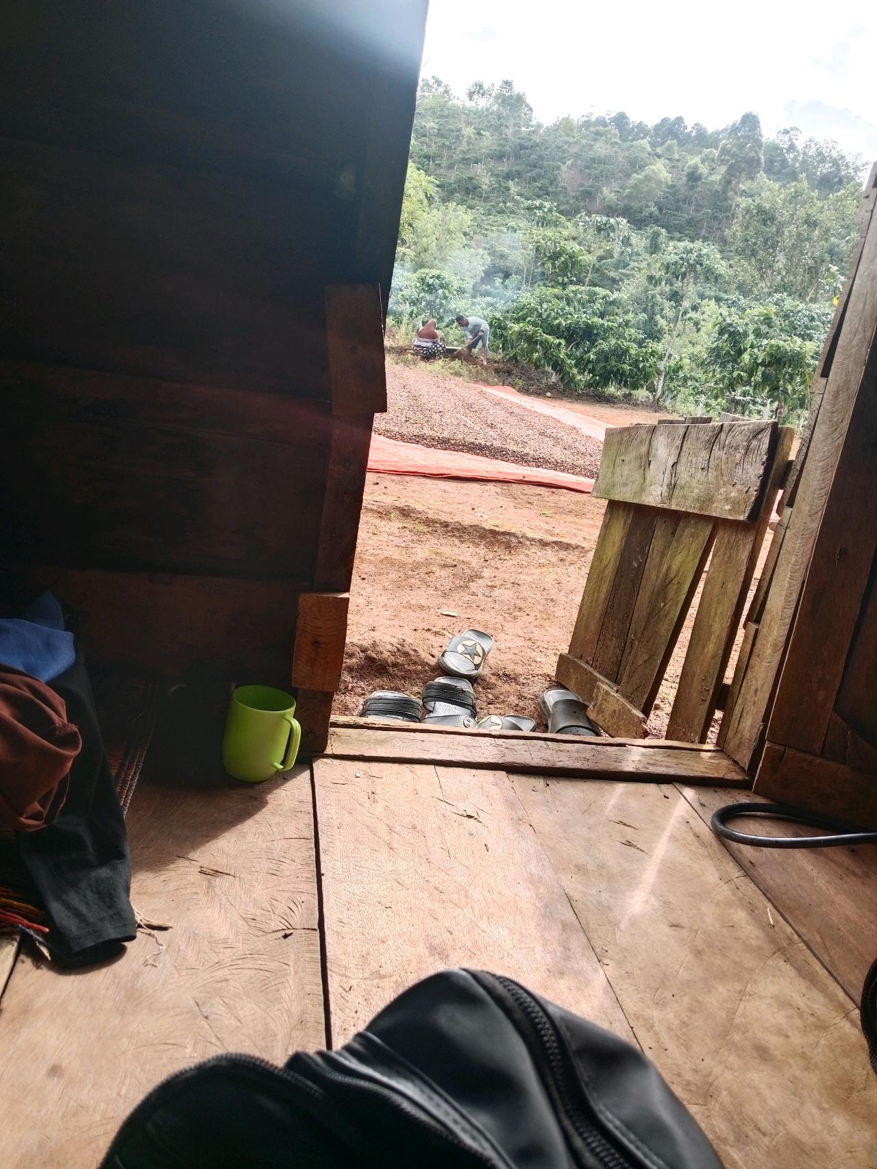 cmp_1776409779352.jpg