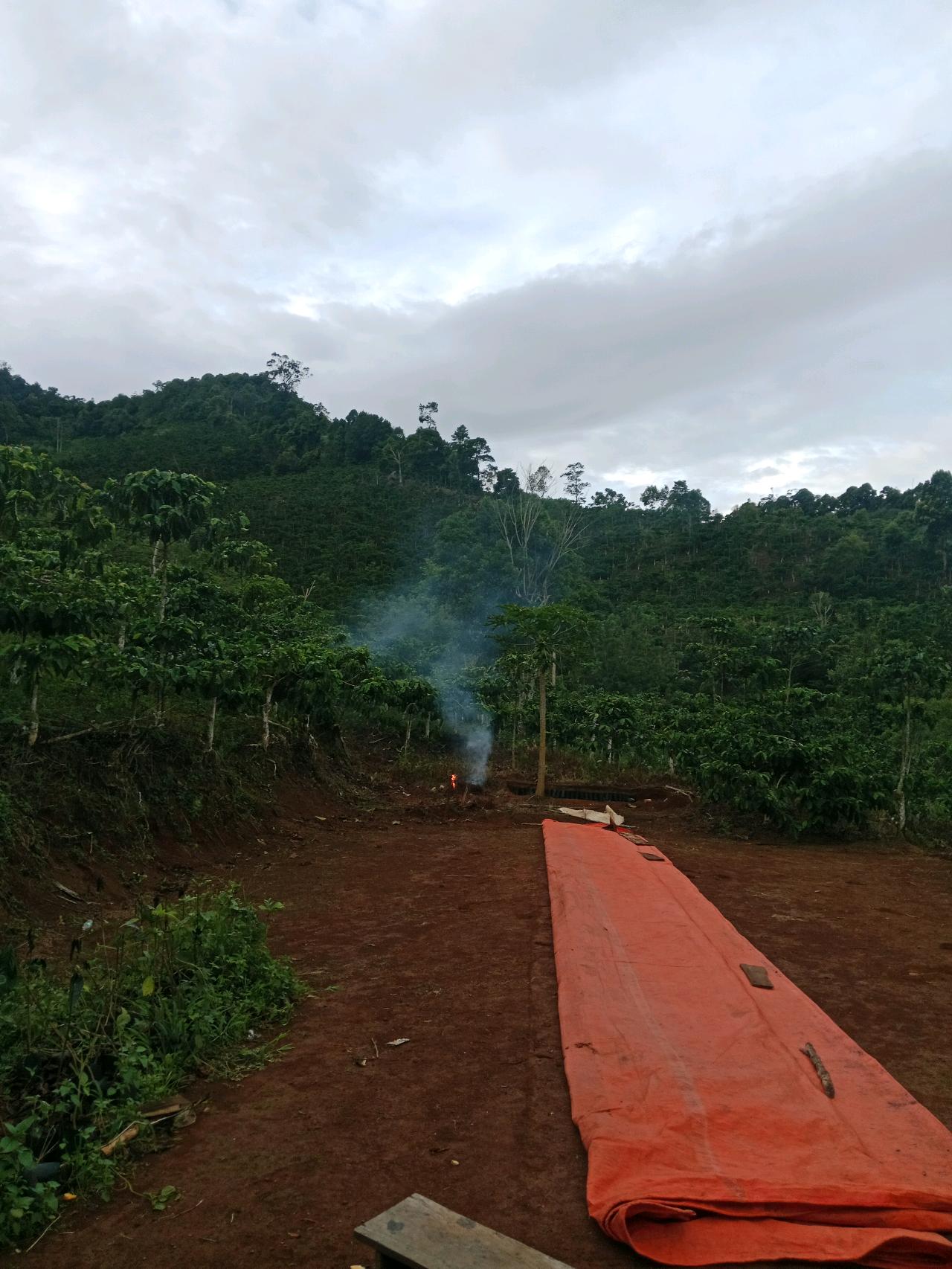 cmp_1776409784043.jpg
