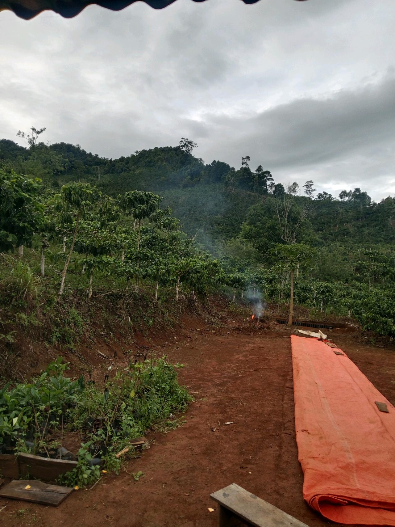 cmp_1776409786378.jpg