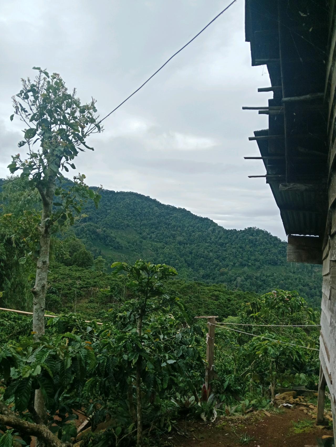 cmp_1776410779589.jpg