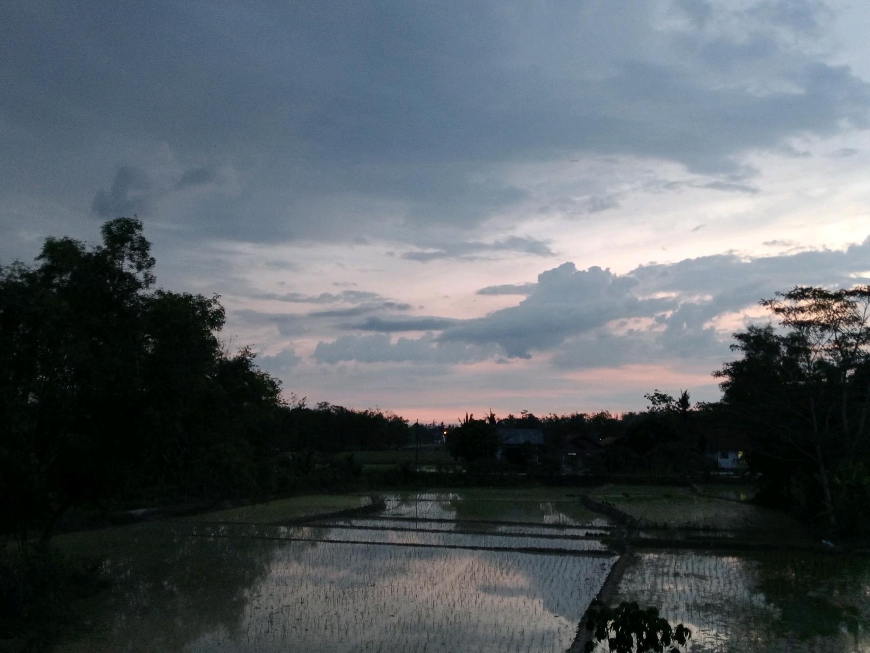 cmp_1776474775143.jpg
