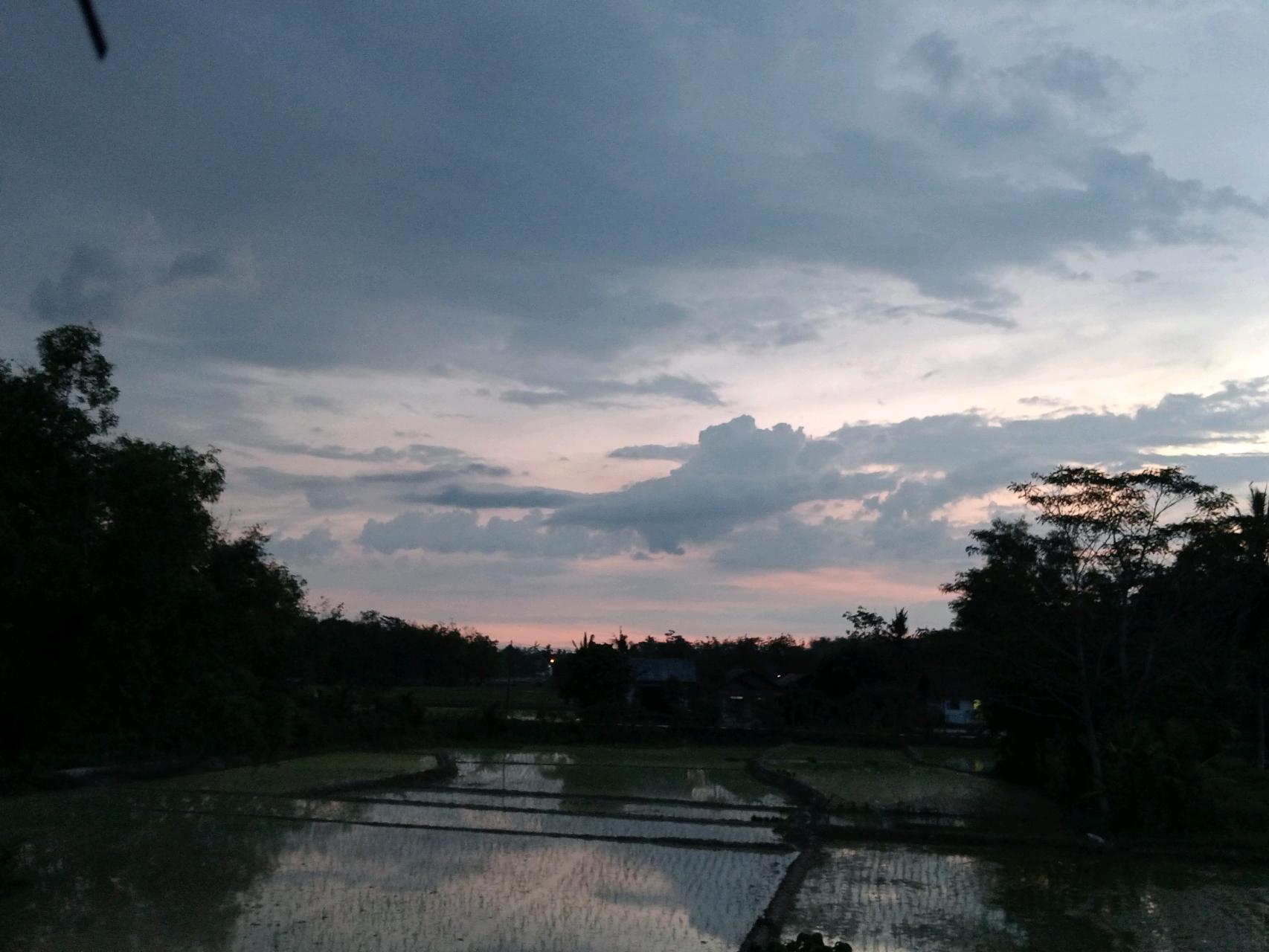 cmp_1776474777588.jpg