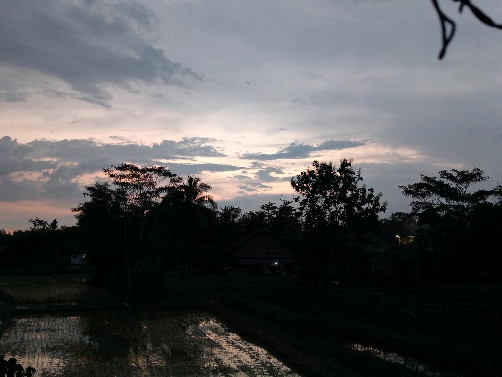 cmp_1776474779880.jpg