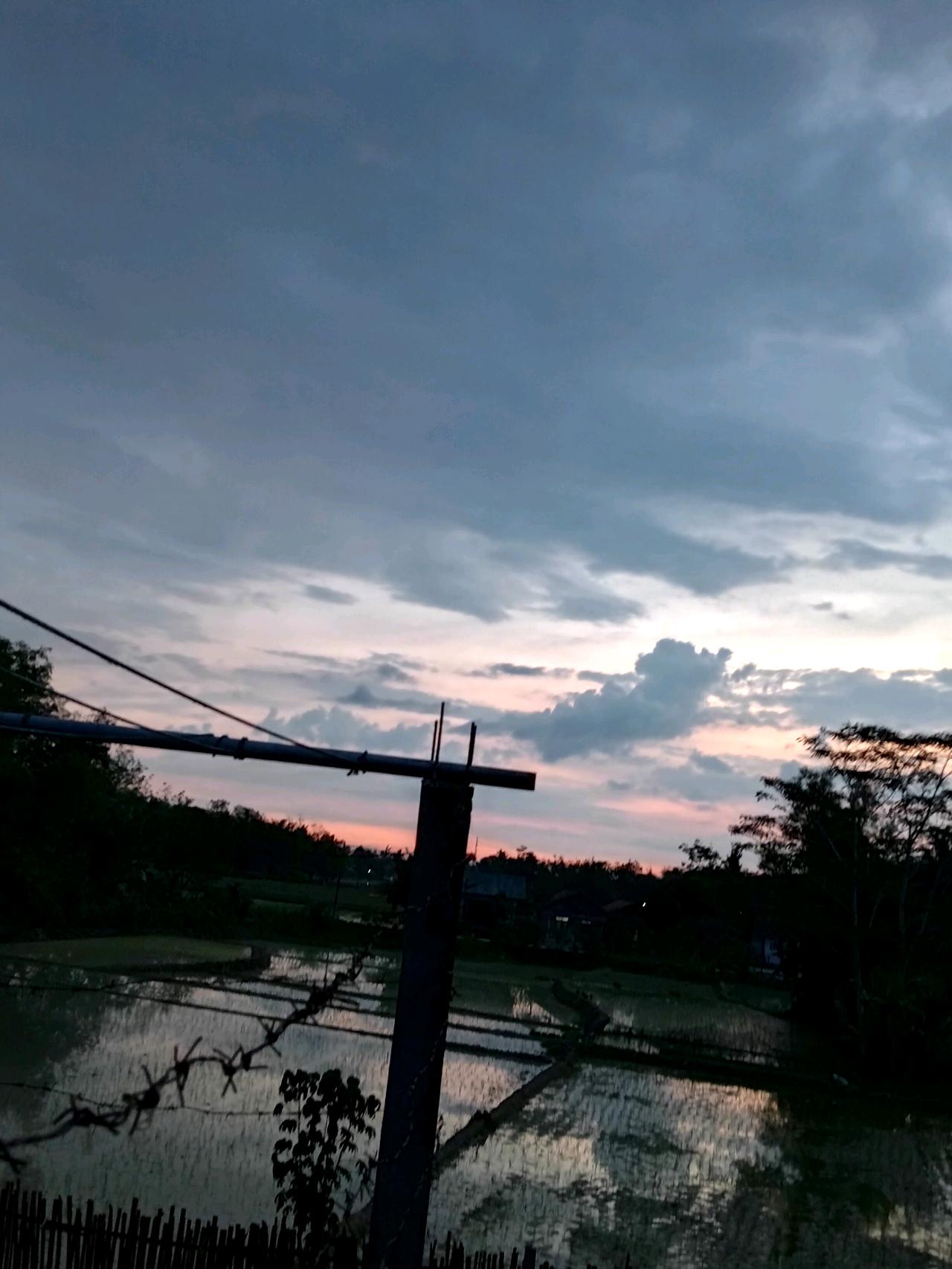 cmp_1776474788526.jpg