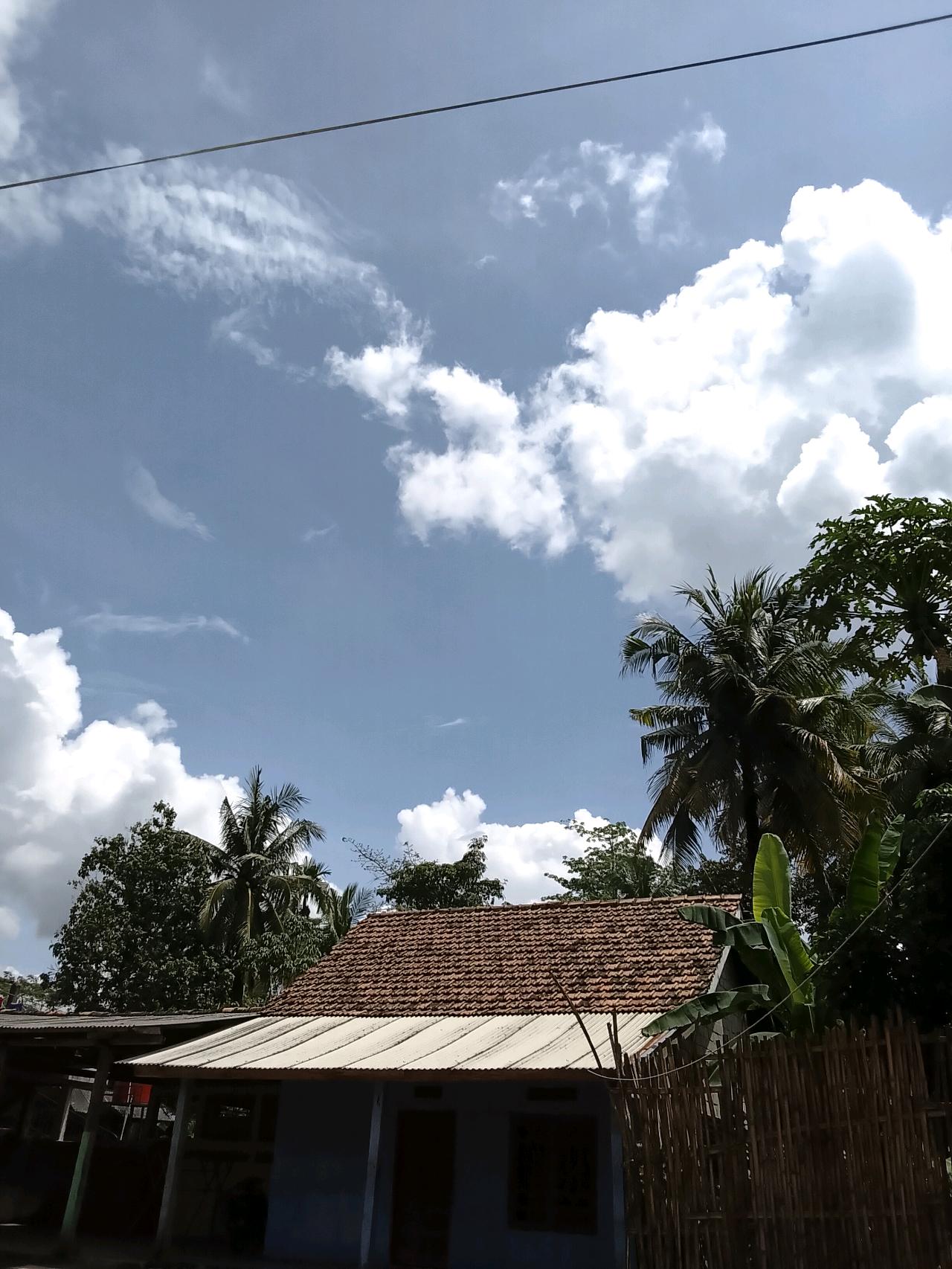 cmp_1781394790445.jpg