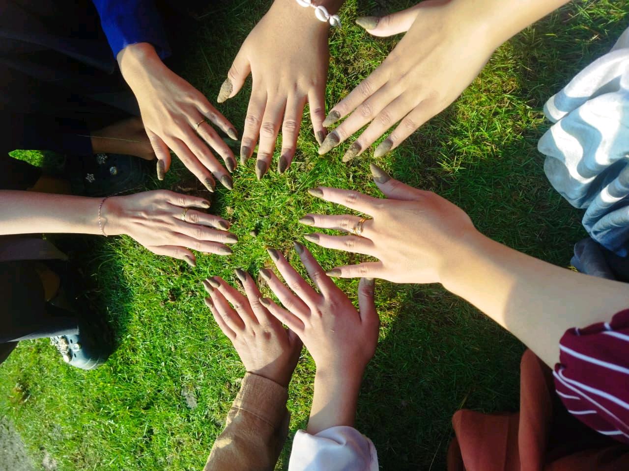 cmp_1783040381683.jpg