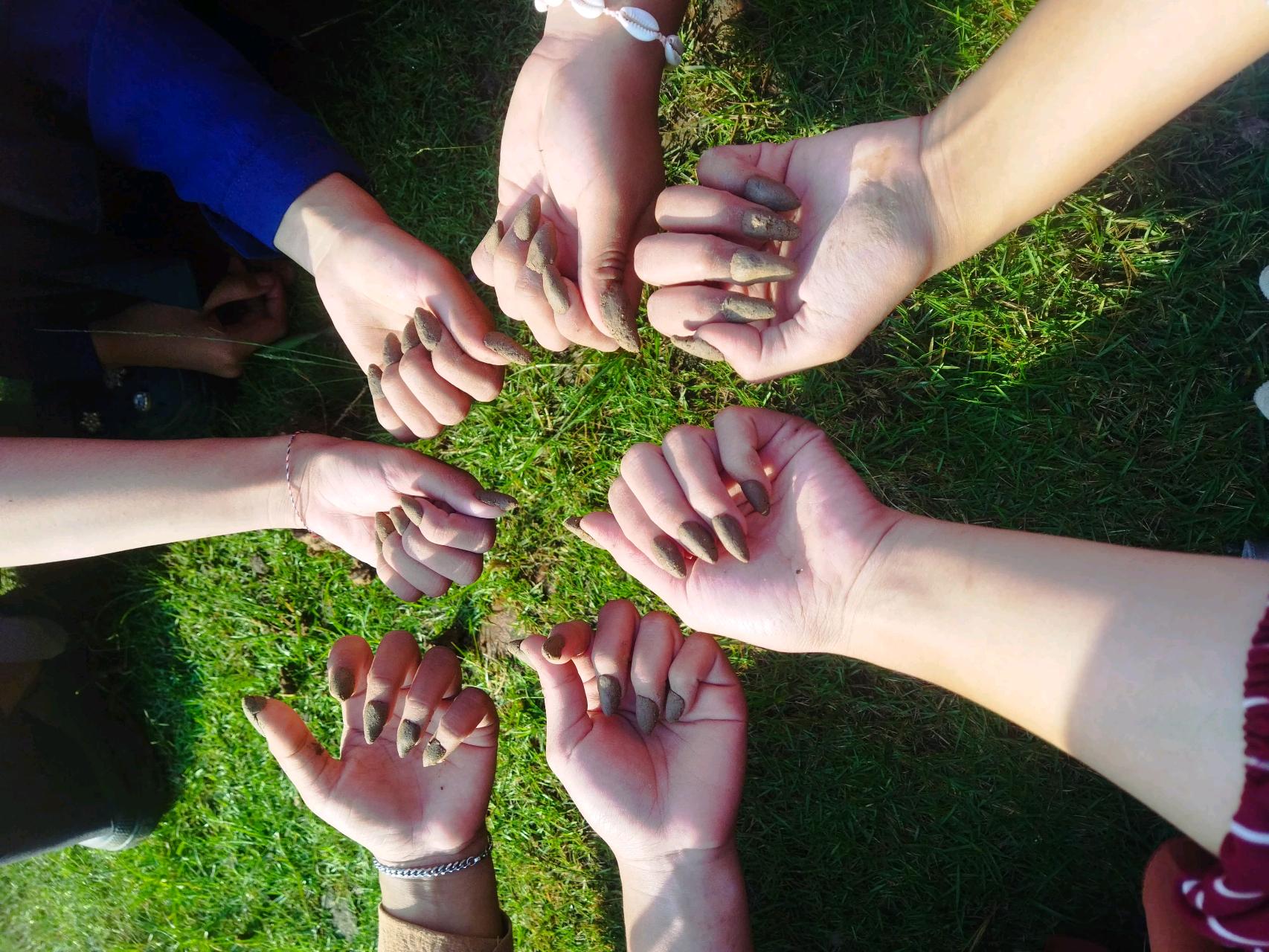 cmp_1783040383196.jpg